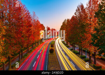 Landschaft Herbst tress mit einem führenden Landstraße in Tsukuba, Japan Stockfoto