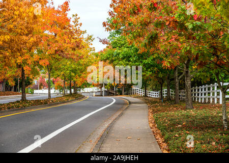 Stadt Landschaft mit malerischen Herbst Bäume mit roten und gelben Blätter wachsen Gasse entlang der Straße mit einer Division Insel und ein dekorativer Zaun alo Stockfoto