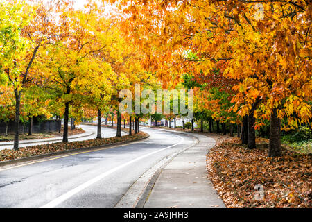 Stadt Landschaft mit malerischen Herbst Bäume mit roten und gelben Blätter wachsen Gasse entlang der Straße mit einer Division Insel und ein dekorativer Zaun alo Stockfoto