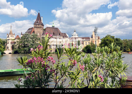 Die Burg von Vajdahunyad Budapest mit Menschen mit mit Oleander Blumen Stockfoto