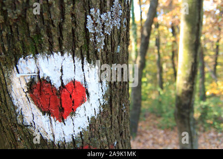 Baum mit Herz am Fruska Gora Nationalpark in Serbien lackiert Stockfoto