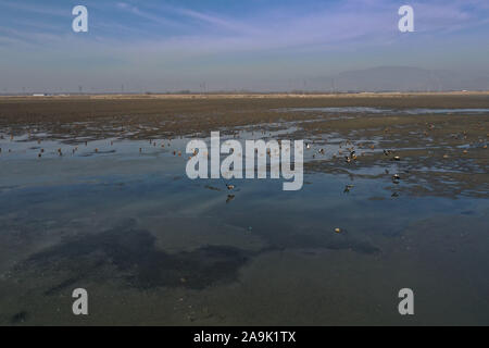 (191116) - HOHHOT, November 16, 2019 (Xinhua) - Foto aufgenommen am 07.11.16, 2019 zeigt Zugvögel am Stausee in Hailiu Tumd Links Banner im Norden Chinas Autonome Region Innere Mongolei. Eine große Zahl von Zugvögeln vor kurzem in den Behälter für eine Pause unterbrochen, bevor das Fliegen in den Süden. (Xinhua / Liu Lei) Stockfoto