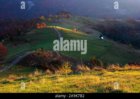 Ländliche Landschaft bei Sonnenaufgang. schönen Herbst Landschaft in den Bergen. Bäume im Herbst Laub auf sanften Hügeln in dappled Licht. Land straße durch Gras Stockfoto