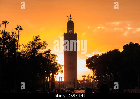 2017, Afrika, arabisch, Illustr., Baum, Bäume, Besichtigung, Dämmerung, Erbe, Seminarraum, golden, goldene Stunde, Himmel, Islam, Koutoubia, Kultur, Ma Stockfoto