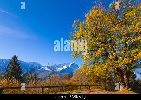 Alpine Landschaft mit bunten Bäumen und weiss verschneiten Bergen im Hintergrund Stockfoto