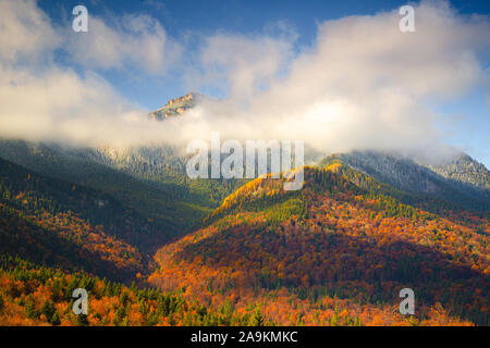 Herbst auf dem Berg Ceahlau mit toaca Gipfel im dichten Nebel in Piatra Neamt, Rumänien Stockfoto