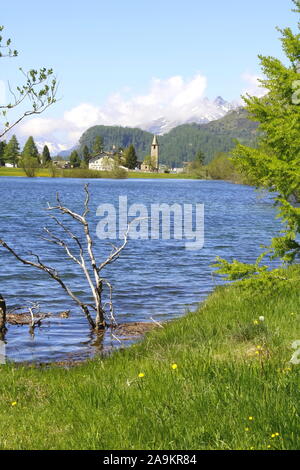 Herbststimmung am idylllischen Silsersee im Oberengadin Stockfoto