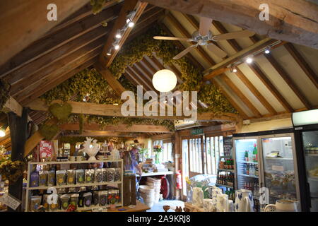 Lavendelfarm in Kent Stockfoto