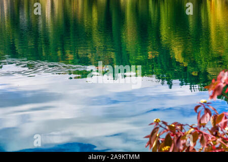 Ente schwimmend auf der Oberfläche eines blau-transparent Bergsee Stockfoto