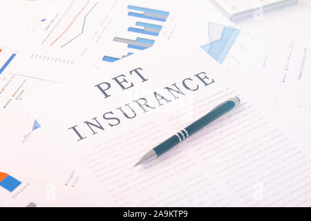 Pet Insurance Konzept, Dokumente auf dem Desktop Stockfoto