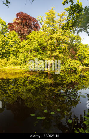 See mit Bäumen spiegelt sich auf Wasser Boden im Frühling Tag mit klaren Himmel im öffentlichen Park mit Schloss in Psczczyna Stadt in Polen Stockfoto