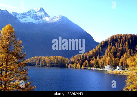 Herbststimmung am idylllischen Silsersee im Oberengadin Stockfoto