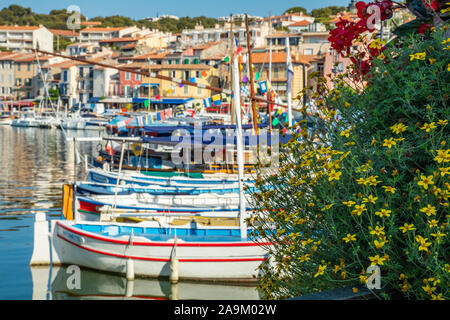 Blumen und Blick auf den Hafen von Marina und Boote in mediterranen Fischerhafen von Cassis, Frankreich, Stockfoto