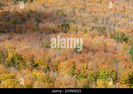 In den herbstlichen Laubwald gemischt, Herbst, Mystery Lookout, Minnesota, von Dominique Braud/Dembinsky Foto Assoc Stockfoto