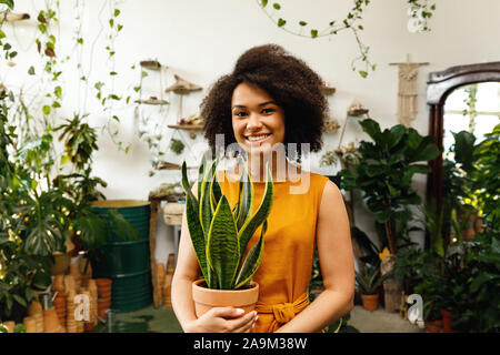 Porträt der schönen Frau florist Suchen an Kamera und lächelnd in ihrer Werkstatt Stockfoto