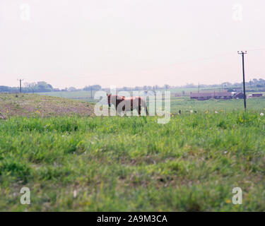 1989 Coal Mine, Wigan, neben Leeds/Liverpool Canal, Lancashire, North West England, Großbritannien Stockfoto