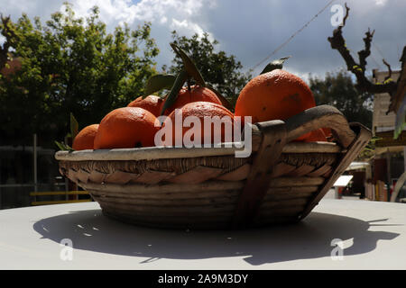 Obstkorb im See von Kournas auf Kreta Stockfoto
