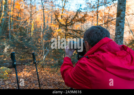 Natur Fotograf ein Bild in den Wald nehmen Stockfoto