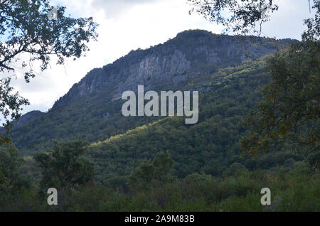 Eiche Wäldern und mediterraner Macchia in Sierra Madrona Park, Südspanien Stockfoto