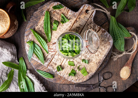 Zubereitung von hausgemachten Kräuter Sirup gegen Husten aus frischen Spitzwegerich Blätter und Zucker, Ansicht von oben Stockfoto