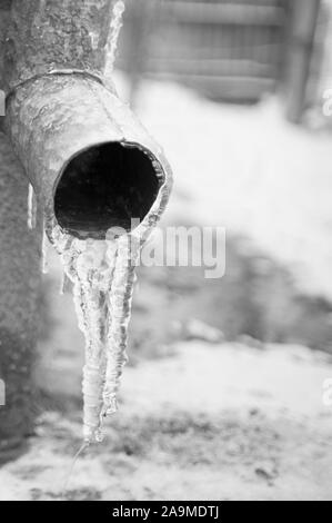 Drainagerohr an der Ecke des Hauses bedeckt mit einer dicken Schicht aus Eis mit einem Eiszapfen. Stockfoto