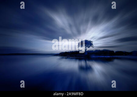 Ein einzelner Baum auf einer Insel in Christchurch Harbour, Dorset Stockfoto