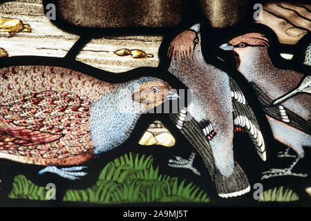 Close-up Detail der Glasfenster der Hl. Franziskus predigt den Vögeln, die in der Kirche von St. Mary's, Selborne, Hampshire Stockfoto