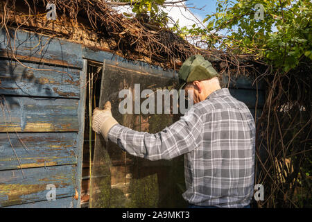 Menschen Ausbau der Glasscheibe beim Abriss einer alten hölzernen Gartenhaus Stockfoto