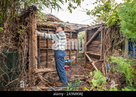 Mann mit dem Abriss einer alten Holz- in einer britischen Gartenhaus Stockfoto