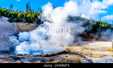 Dampf aus der Warmen und Kristallklarem Wasser in Türkis Feder Geysir im Yellowstone National Park in Wyoming, Vereinigte Staaten von Amerika Stockfoto