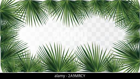 Green Palm verlässt. Von tropischen Palmen Blätter auf transparentem Hintergrund isoliert. 3D realistische Blätter mit Kopie Platz für Ihren Text. Sommer Blatt. Symbole Stock Vektor