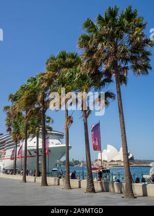 Kreuzfahrt Schiff angedockt in Sydney Circular Quay Stockfoto