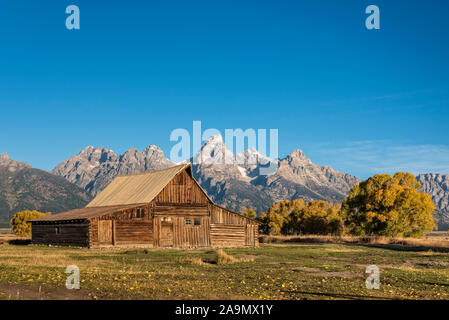 T.A. Moutlon Scheune auf Mormon Reihe, Grand Teton National Park, Wyoming. Stockfoto