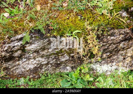 Blick auf eine Schiefertafel Layer in einem Berg in den Alpen Stockfoto