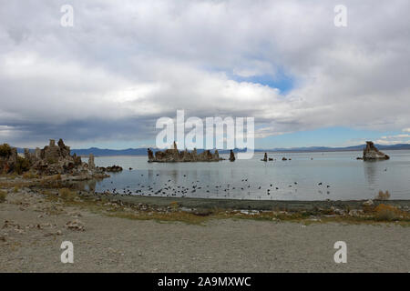 Mono Lake in Florida USA Stockfoto