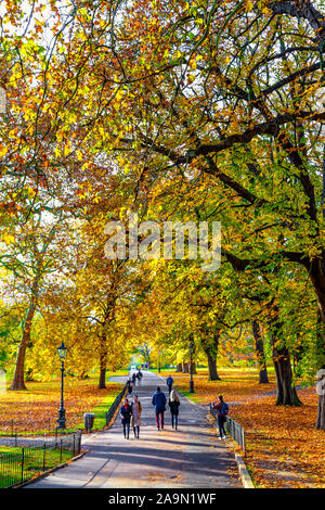 Herbst im Hyde Park, London, UK Stockfoto