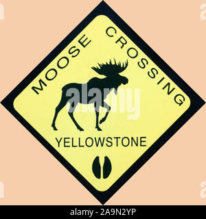 Kopie von Schild Warnung über Moose Crossing in Yellowstone Stockfoto