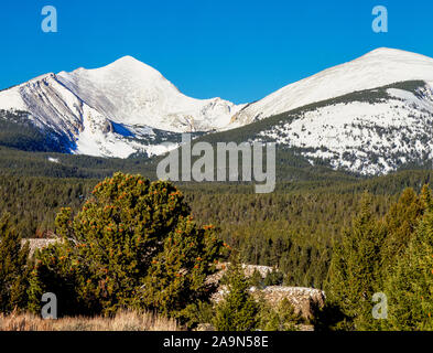 Torrey Berg in der Pioneer Strecke nahe Dillon, Montana Stockfoto