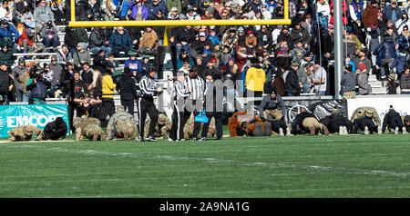 West Point, NY - 16. November 2019: West Point Kadetten tun Push-ups Touchdown durch Armee schwarzen Ritter NCAA Football Spiel gegen VMI Keydets am Michie Stadium Armee zu feiern gewonnen 47 - 6. Stockfoto