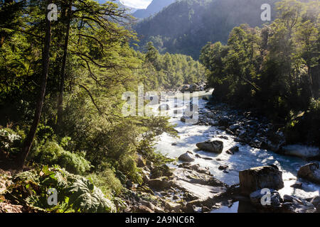 Atemberaubende Aussicht auf den Fluss Michinmahuida im Wald in Pumalin Park, Chaiten, Patagonien, Chile Stockfoto