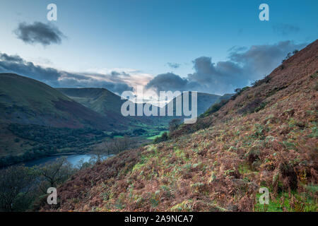 Hang in trockenen Farn im herbstlichen Morgen im Lake District, Großbritannien Stockfoto