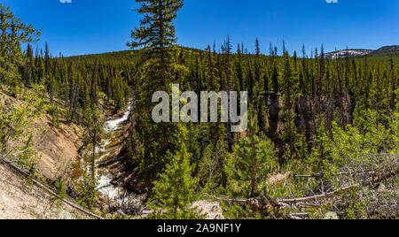 Ein Blick auf die Provo River in der Uinta-Wasatch-Cache National Forest in Utah. Stockfoto