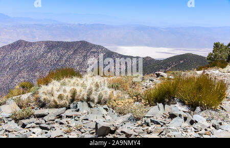 Blick auf das Tal des Todes und die Berge der Sierra Nevada von Wildrose Peak Stockfoto