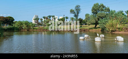 Yarkon Park in Tel Aviv Israel mit einem Reiher stehend auf einem Wasserbehälter im großen Teich und hohe Gebäude im Hintergrund Stockfoto