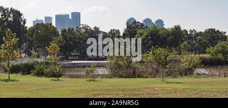 Panorama von einem Teich in Yarkon Park im Norden von Tel Aviv Israel mit Hochhäusern im Hintergrund und ein Reiher auf dem Rasen im Vordergrund. Stockfoto