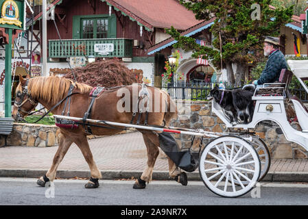Pferdekutsche mit Fahrer und aufmerksamen Hund langsam nach unten bewegen Hauptstraße im Alpendorf modelliert Stadt von Helen, Georgia. (USA) Stockfoto