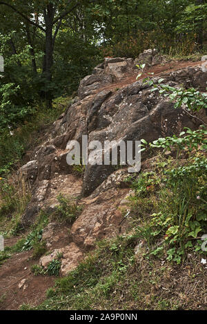 Bäume durch Steine wachsen. Auf der felsigen Insel Walaam, Baumwurzeln klammern sich an die Steine der Stamm zu halten. Einige Wurzeln aus dem Boden. Russland Stockfoto