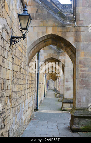 Winchester Cathedral Kreuzgänge, Winchester, Hampshire, UK Stockfoto