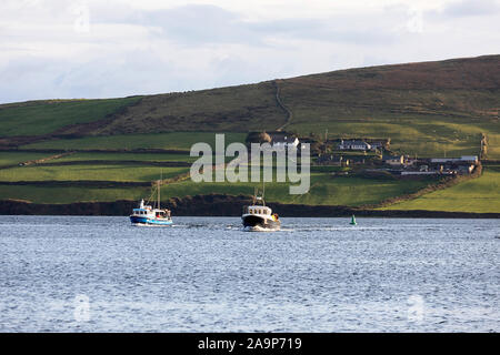 Ausflugsboote Rückkehr von einem Dingle Dolphin Sightseeing-Tour, Irland Stockfoto