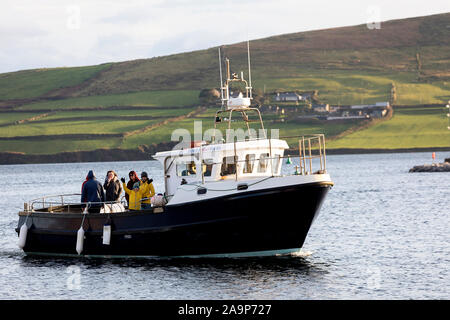 Irland, Dingle, Dolphin-Spotting Trip, Touristen an Bord eines Bootes, touristische Rückkehr von einem Dingle Dolphin Stadtrundfahrt Stockfoto